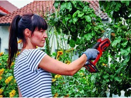 Cordless pruning saw for Arbol-18 V- 62